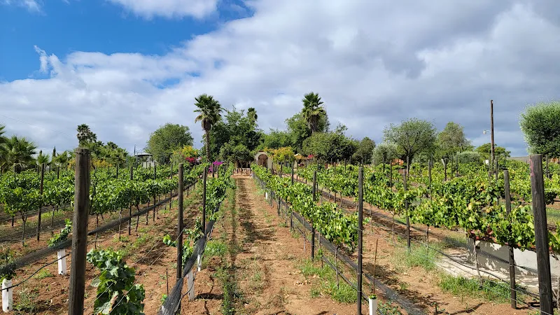 Clos Benoit, A Vineyard Inn