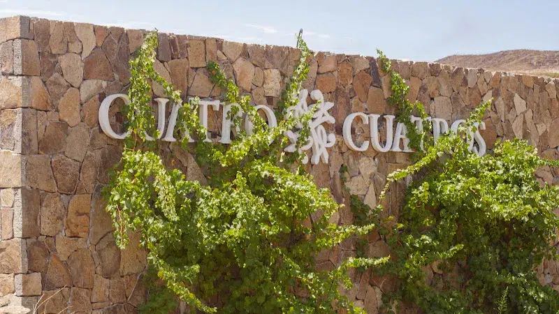 Vineyard Desert House- Cuatro Cuatros-Ensenada-