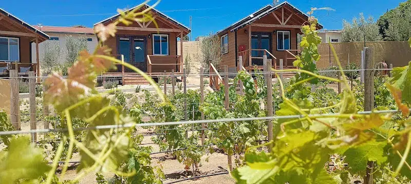Tres Flores Del Valle