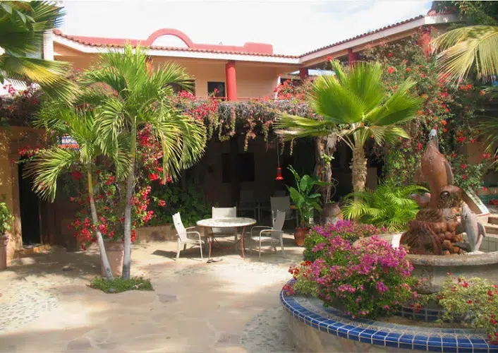 Hacienda De Palmas