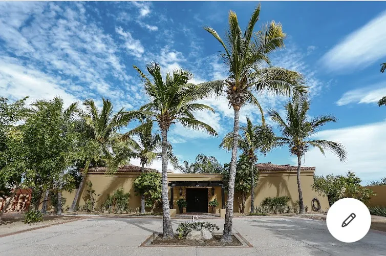 Villa Vida Cabo - Authentic Spacious Ocean View Near Beach & Town